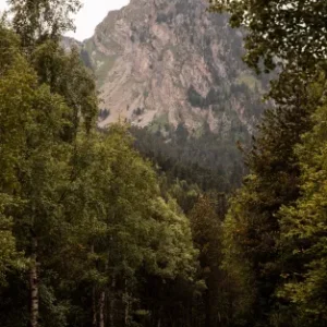 Autoestima, emociones y la vida de mis sueños de Ronald Esquivel