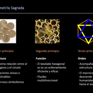 Principios del número 2